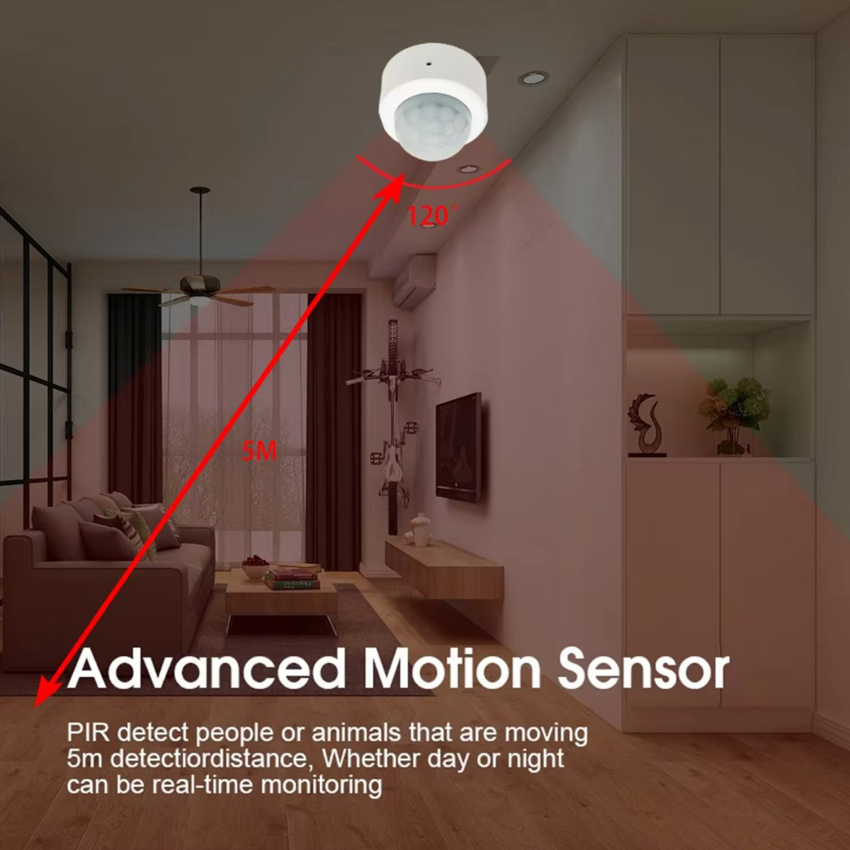 Zigbee PIR Motion Sensor Human - огляд і ціна Home Security With Alarm