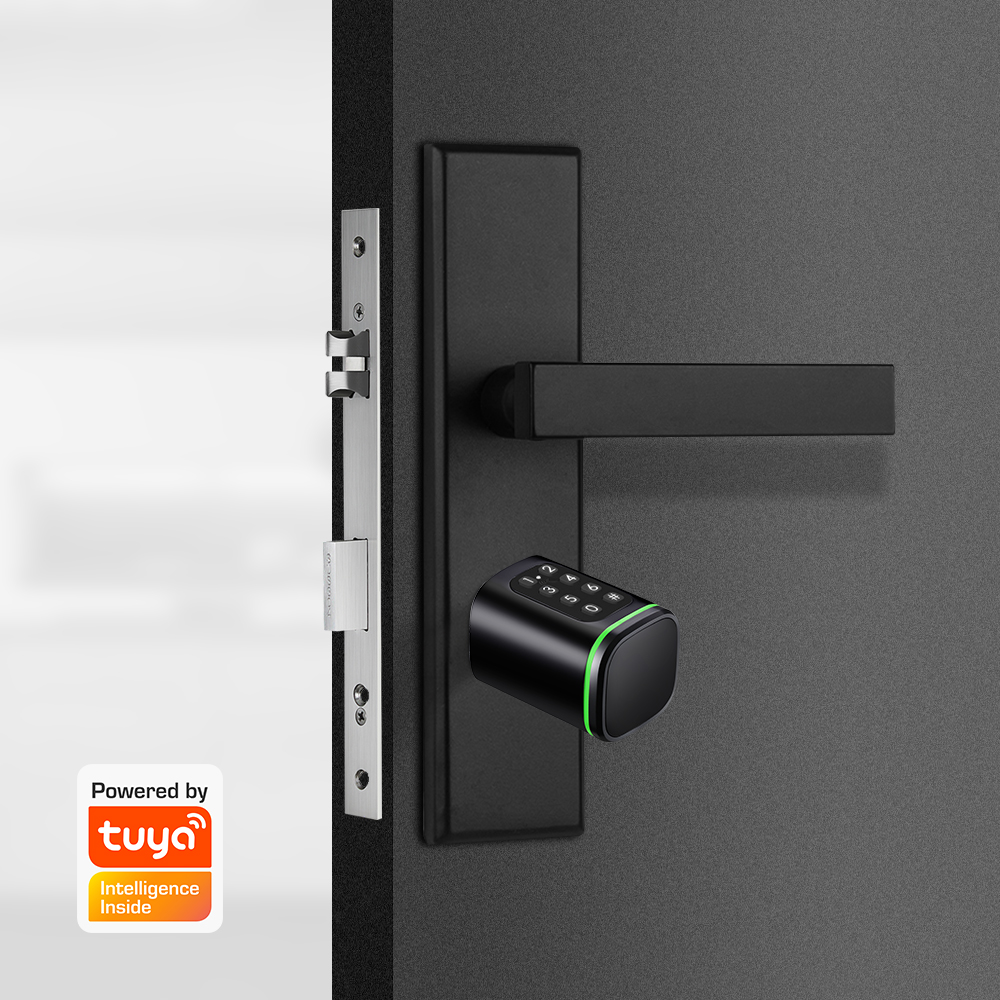 Smart Cylinder Lock Tuya 60-90 - огляд і ціна Home Security Essential